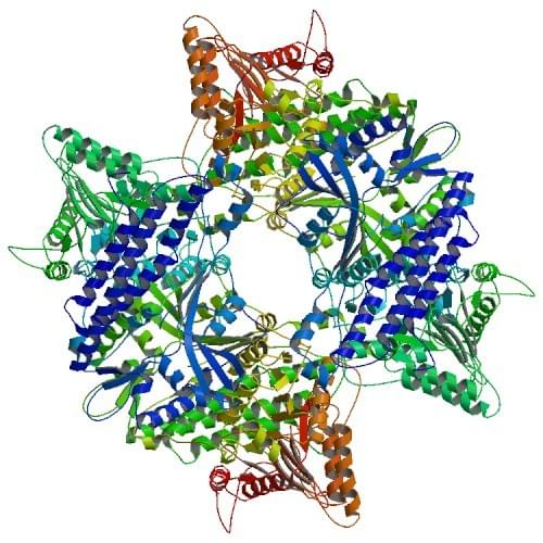 Figure: The crystal structure of Escherichia coli polyphosphate kinase.